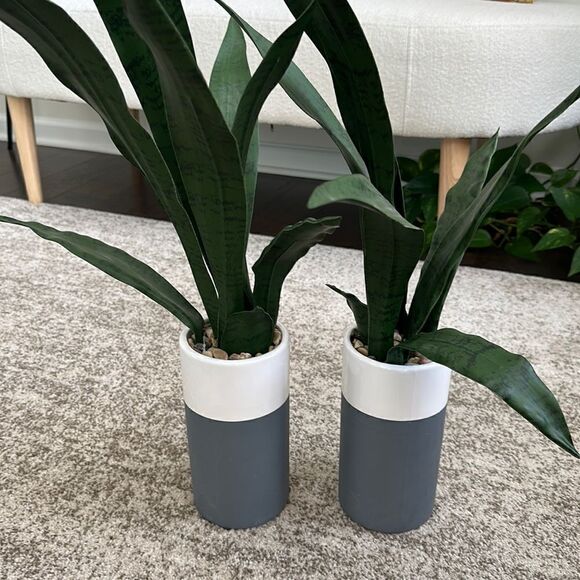 Homegoods 2 Faux Snake Plant Vases - Picture 1 of 4